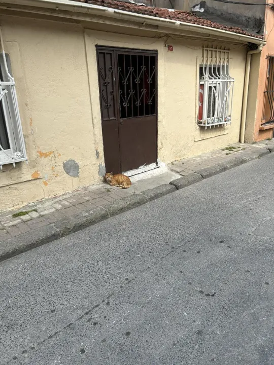 Anın Fotoğrafı