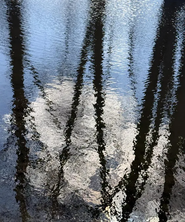 Anın Fotoğrafı