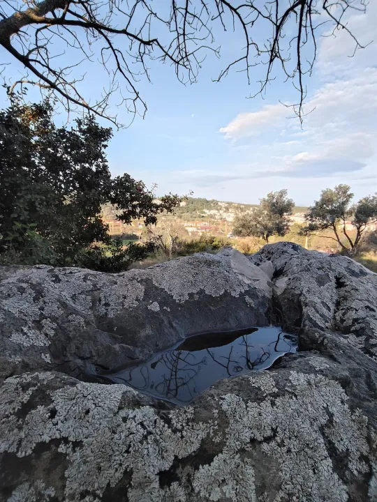 Anın Fotoğrafı