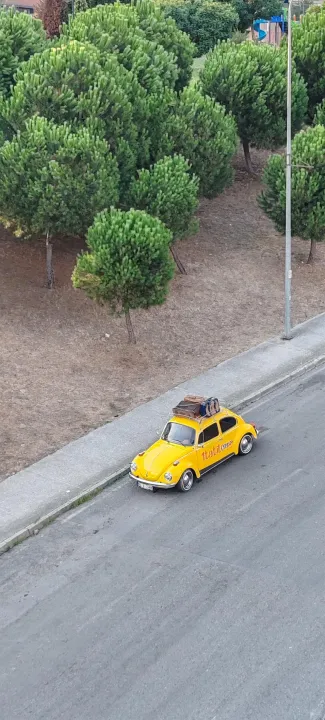 Anın Fotoğrafı