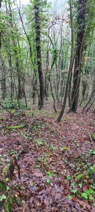 Çoklu paylaşım