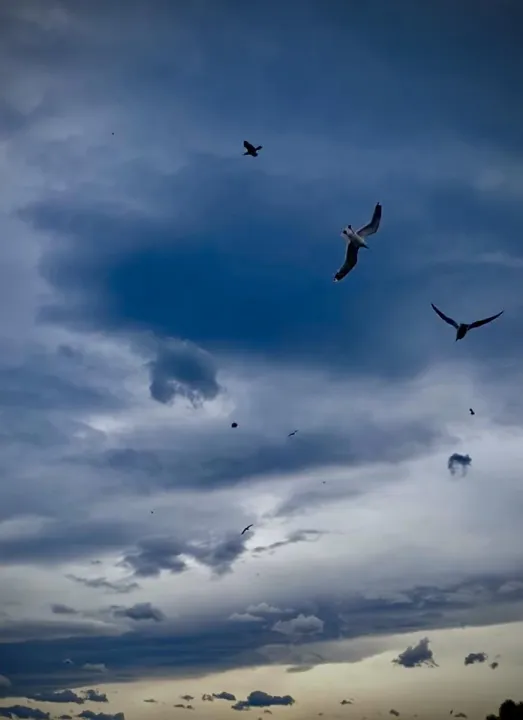 Anın Fotoğrafı