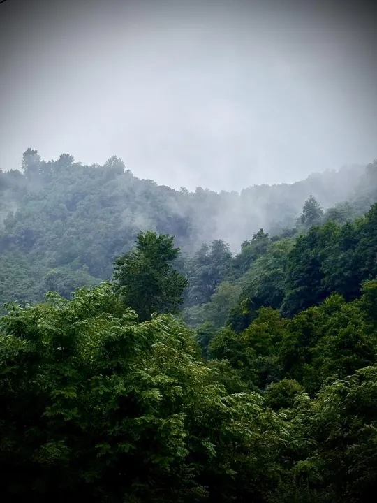 Anın Fotoğrafı
