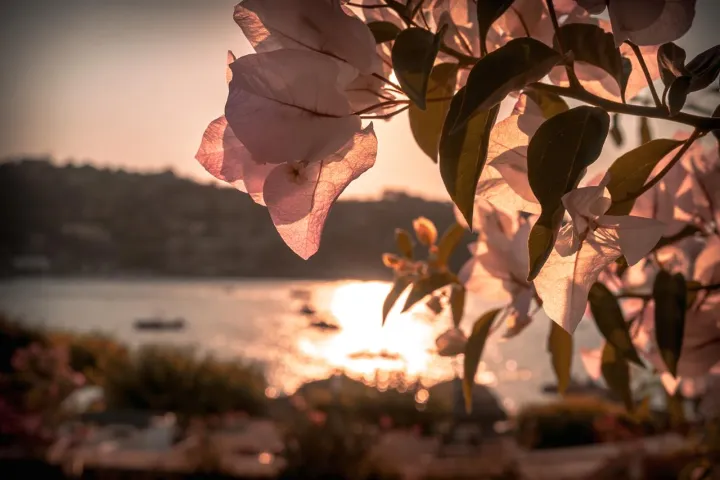Anın Fotoğrafı