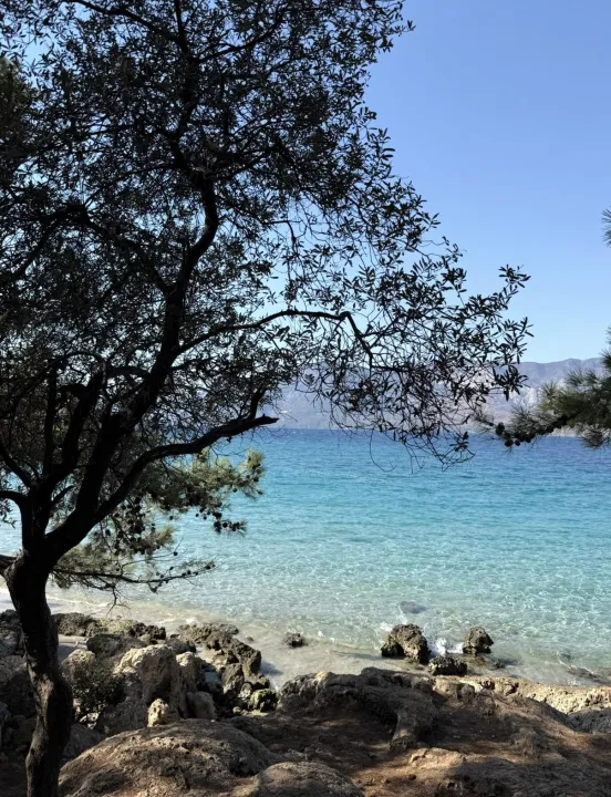 Anın Fotoğrafı