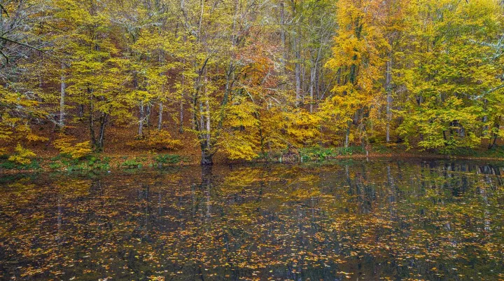 Anın Fotoğrafı