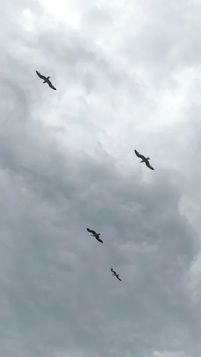 Anın Fotoğrafı