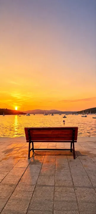 Anın Fotoğrafı