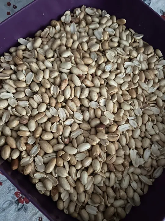 Anın Fotoğrafı