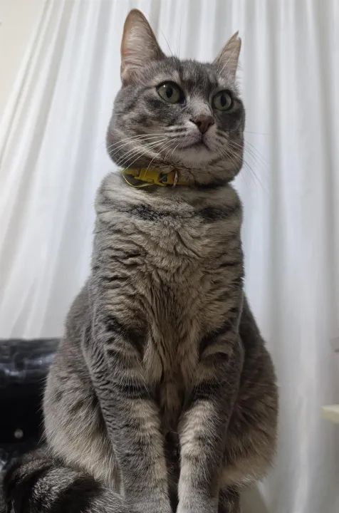 Anın Fotoğrafı