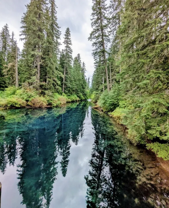 Anın Fotoğrafı