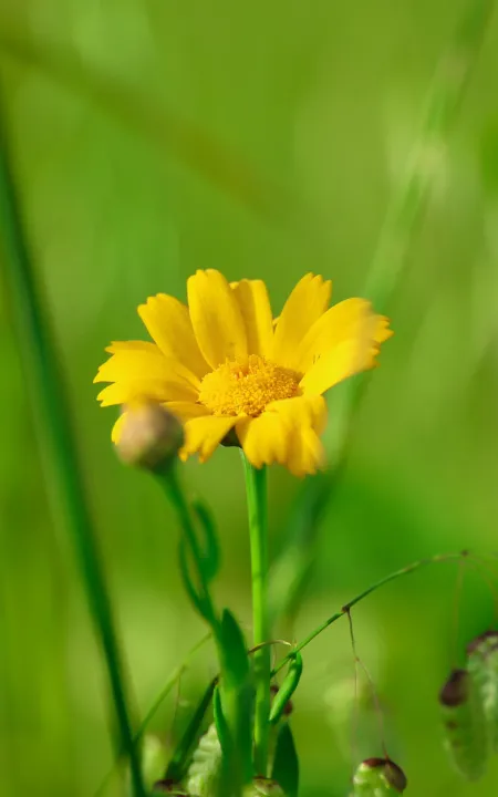 Anın Fotoğrafı