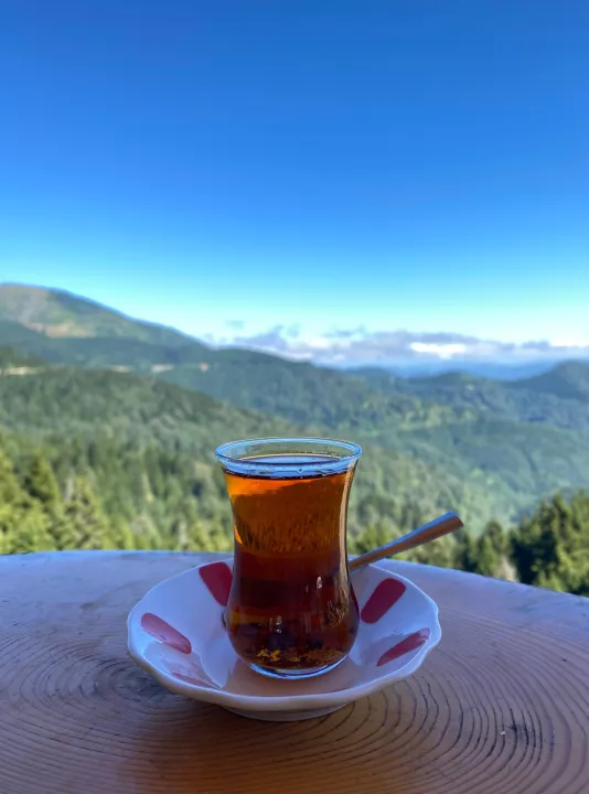 Anın Fotoğrafı