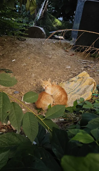 Anın Fotoğrafı
