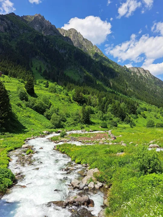 Anın Fotoğrafı