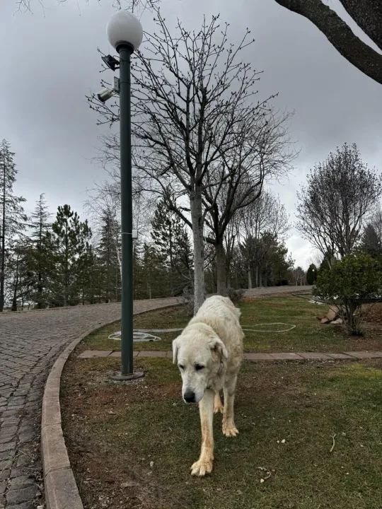 Anın Fotoğrafı