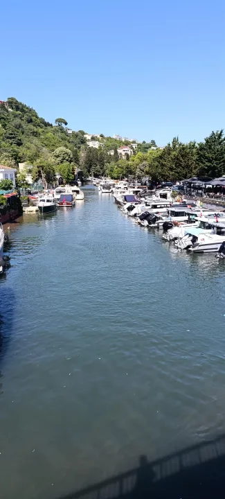 Çoklu paylaşım