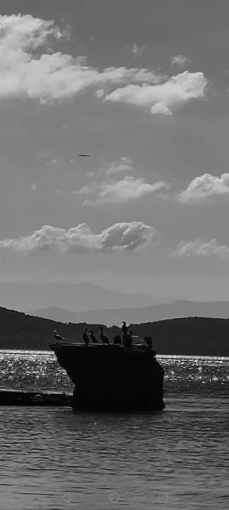 Anın Fotoğrafı