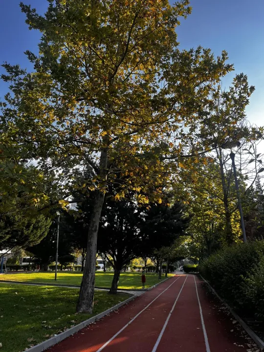 Anın Fotoğrafı