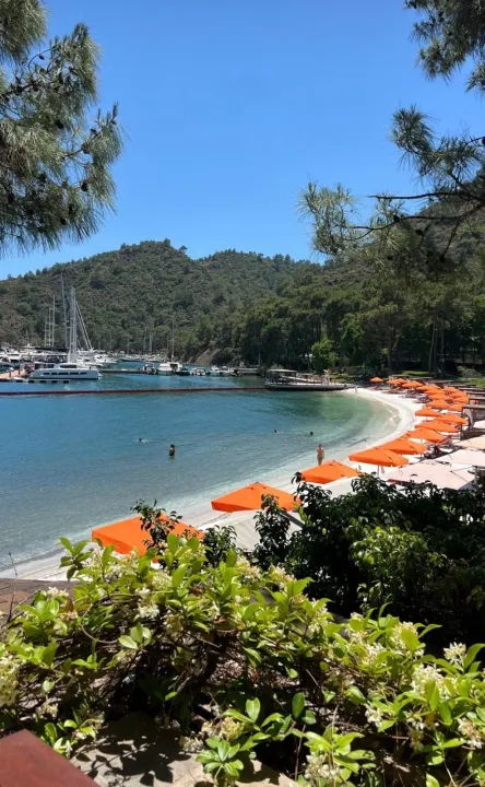 Anın Fotoğrafı