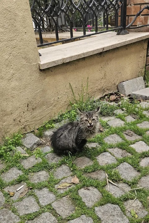 Anın Fotoğrafı