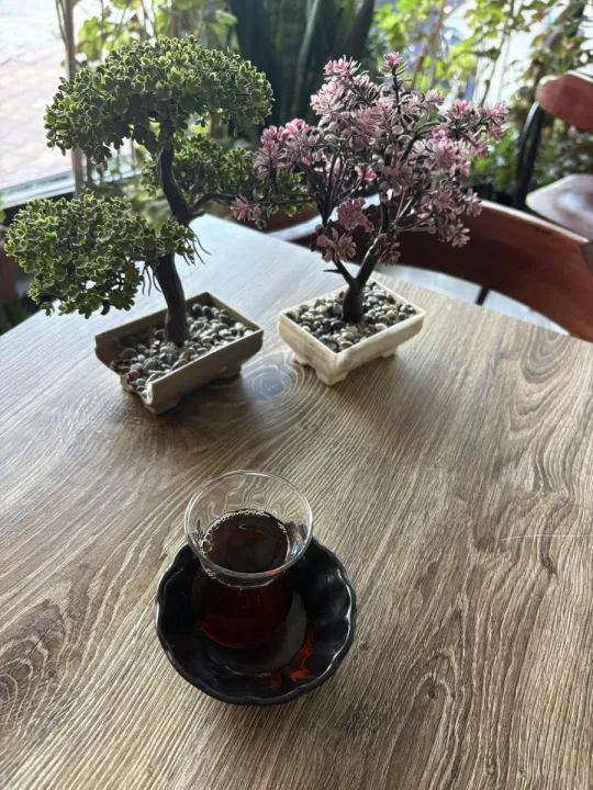 Anın Fotoğrafı