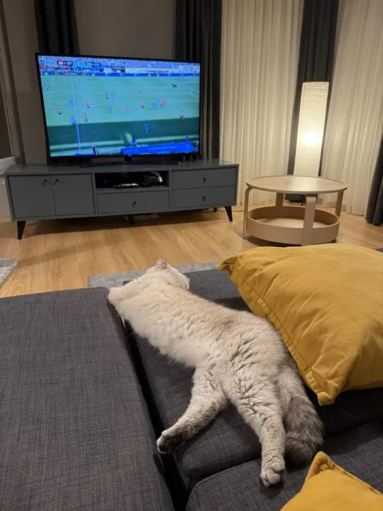 Anın Fotoğrafı