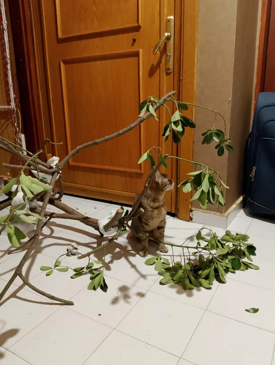Anın Fotoğrafı