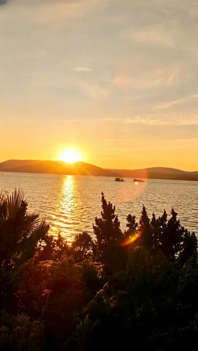 Anın Fotoğrafı