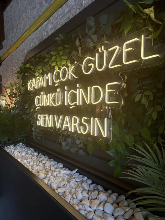 Anın Fotoğrafı