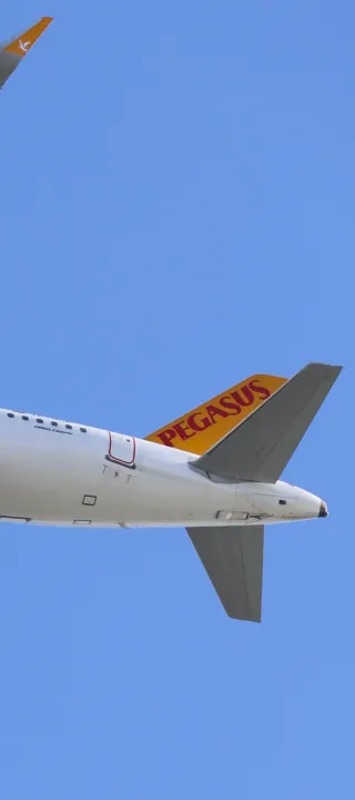 Anın Fotoğrafı