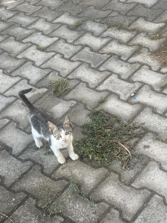 Anın Fotoğrafı