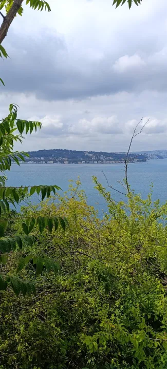 Anın Fotoğrafı