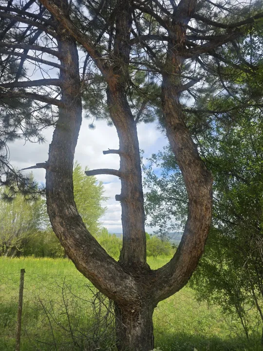 Anın Fotoğrafı