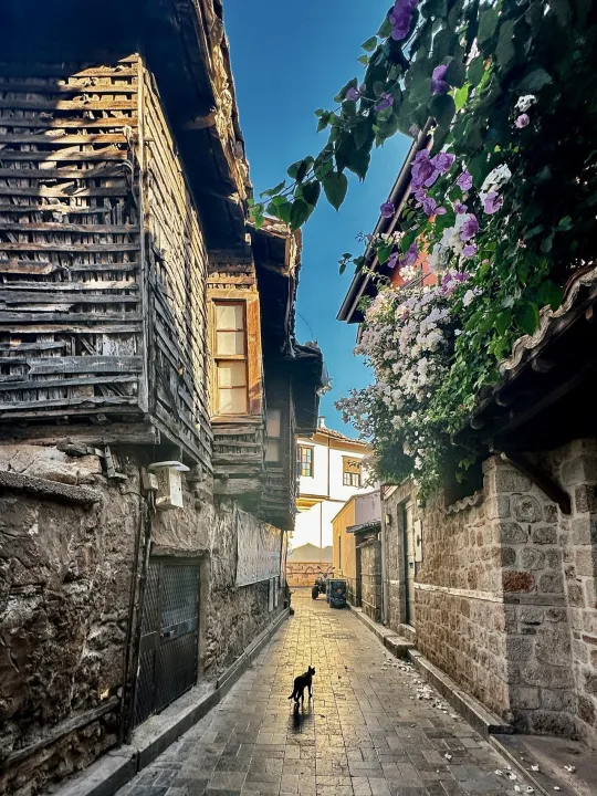 Çoklu paylaşım