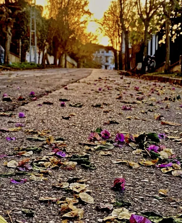 Anın Fotoğrafı