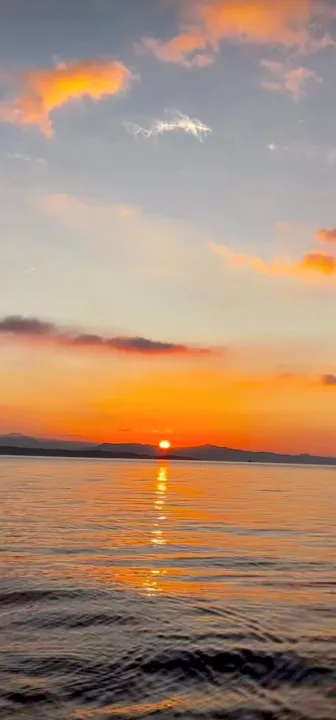 Anın Fotoğrafı