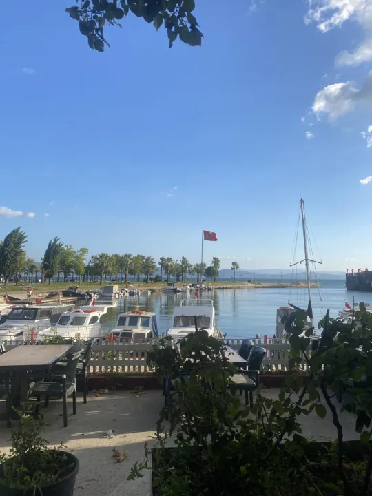 Anın Fotoğrafı