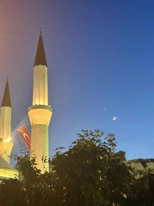 Anın Fotoğrafı