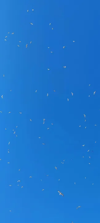 Anın Fotoğrafı