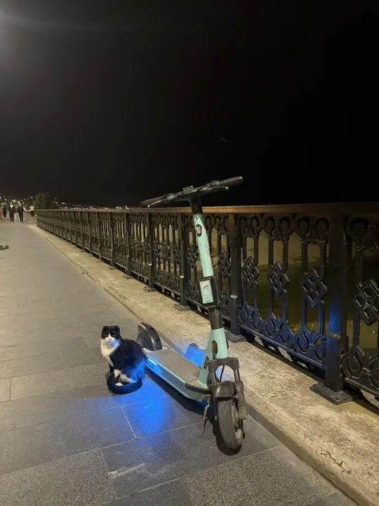 Anın Fotoğrafı