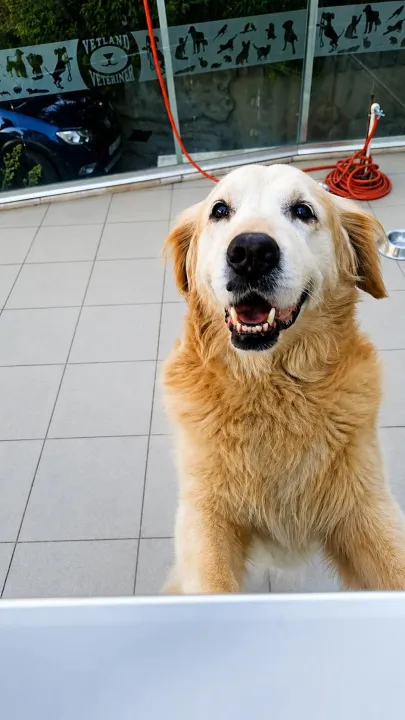 Anın Fotoğrafı