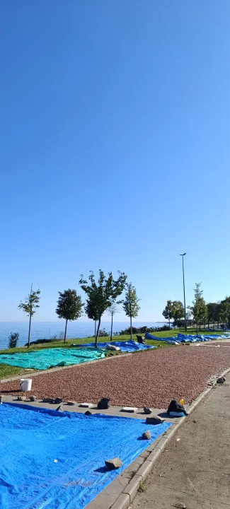 Anın Fotoğrafı