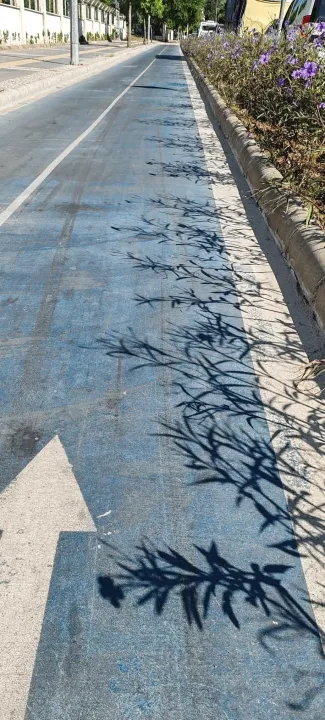 Çoklu paylaşım