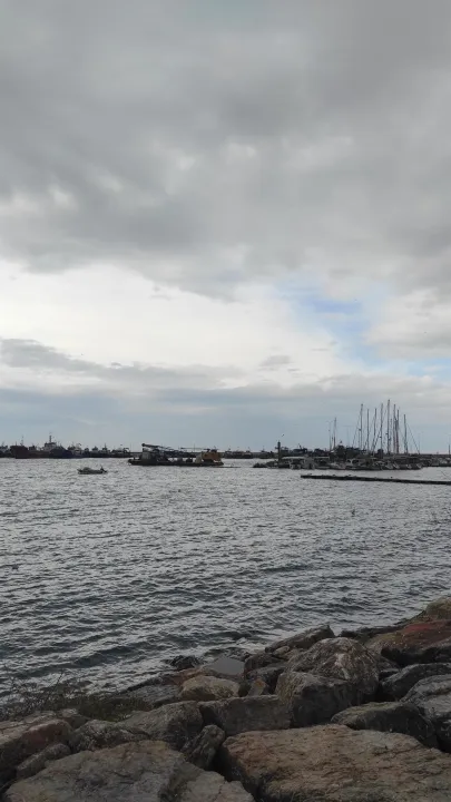 Çoklu paylaşım