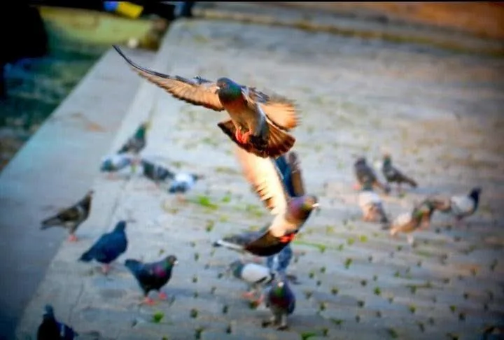 Anın Fotoğrafı