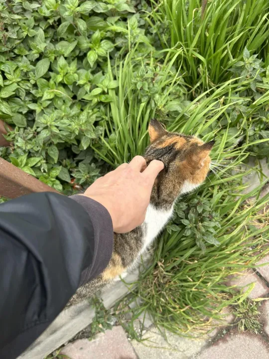Anın Fotoğrafı