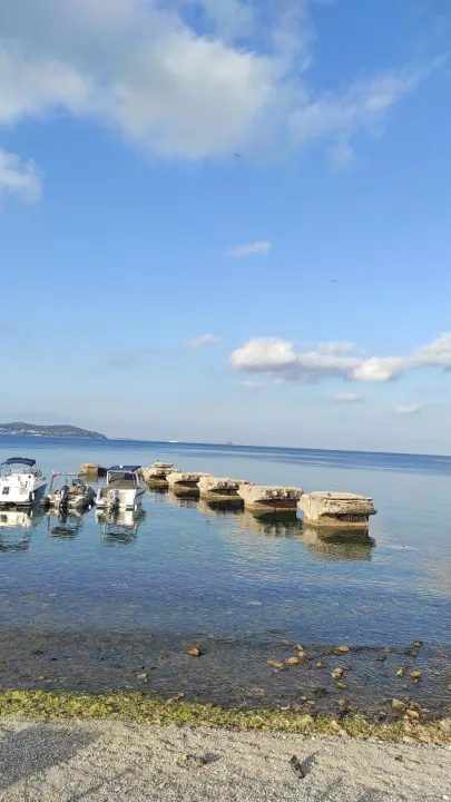 Anın Fotoğrafı