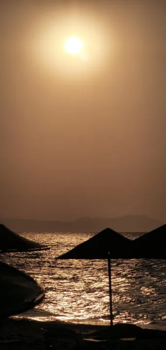 Anın Fotoğrafı