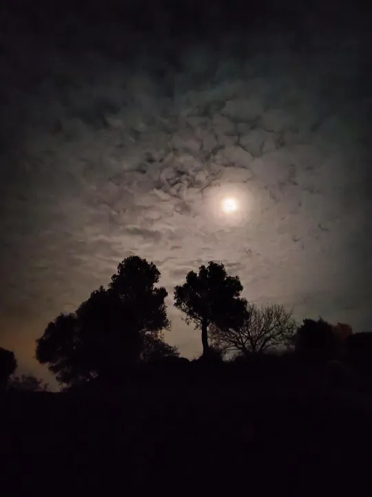 Anın Fotoğrafı